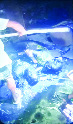 Image of মো: সেলিম  মন্ডল